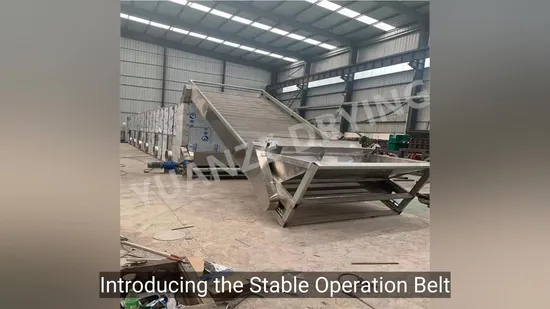 Dw Series Reliable Mesh Belt Dryer for Medicine and Chemical Processing 