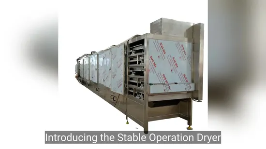 Dw Series Reliable Belt Dryer for Medicine and Food Processing Needs 