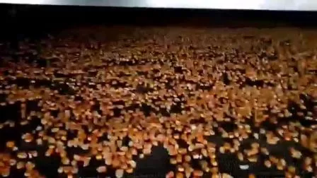 Dw Pharmaceutical Chemical Foodstuff Mesh