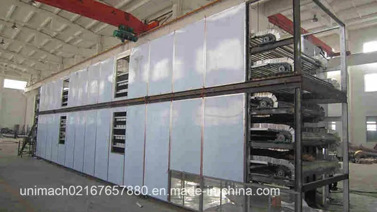 Dw Series Belt Dryer (single layer or multi layers) 