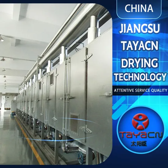 Dw Vegetable and Fruit Belt Dryer 