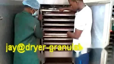 Hot Air Circulation Food Dryer Machine/ Herb/Powder Granule Pellets/ Root/Fish/ Meat Drying Oven/ Cabinet/ Flower/ Vacuum Food Dehydrator/Tray Dryer for Sale 