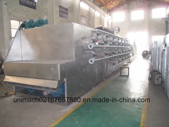 Dw Series Mesh Belt Dryer 