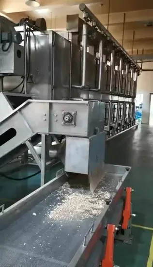 Dw Mesh Belt Dryer for Drying Apple Flakes 
